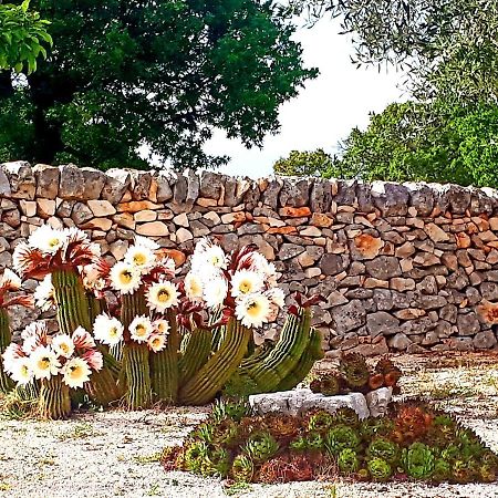 Bed and Breakfast Casa Relax Isabelle Alberobello Zewnętrze zdjęcie