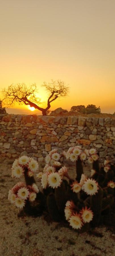 Bed and Breakfast Casa Relax Isabelle Alberobello Zewnętrze zdjęcie