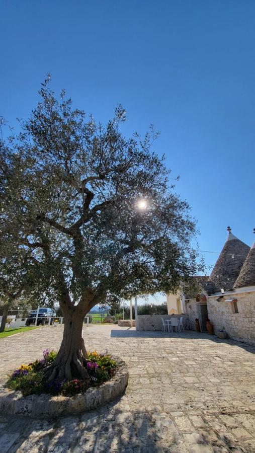 Bed and Breakfast Casa Relax Isabelle Alberobello Zewnętrze zdjęcie