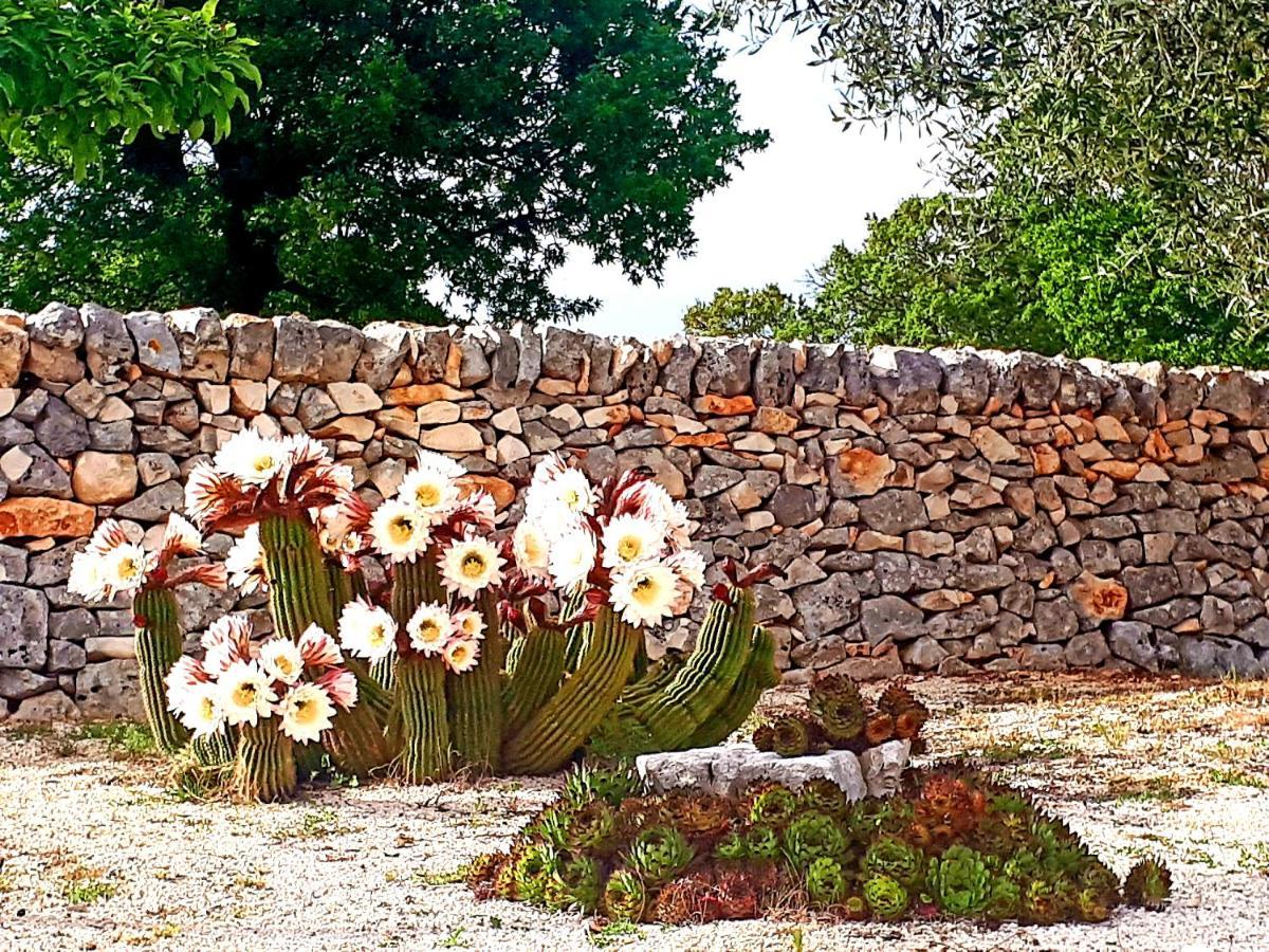 Bed and Breakfast Casa Relax Isabelle Alberobello Zewnętrze zdjęcie